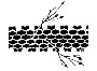 Ris12_1